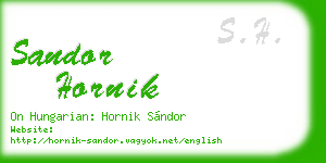 sandor hornik business card